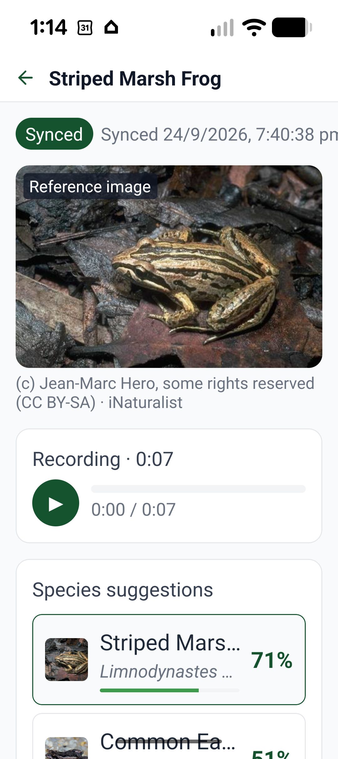 Nxt7a companion app: a synced Striped Marsh Frog observation with a 7-second sound recording and species suggestions ranked by confidence, 71% for Limnodynastes peronii